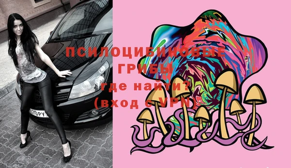 спайс Верея