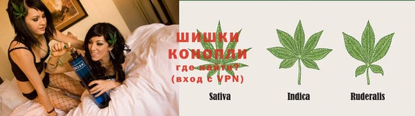 крисы Богданович