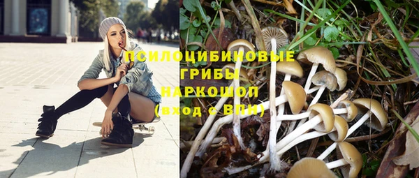 героин Богородицк
