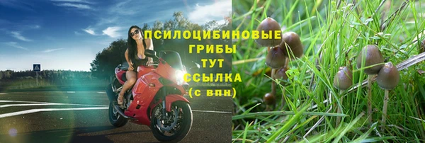 крисы Богданович