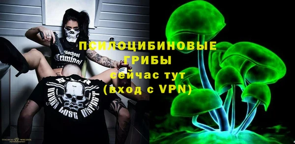 крисы Богданович