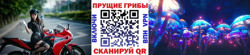 Псилоцибиновые грибы Psilocybine cubensis  как найти закладки  Дигора 