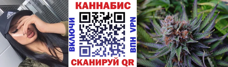 Бошки марихуана Amnesia Дигора