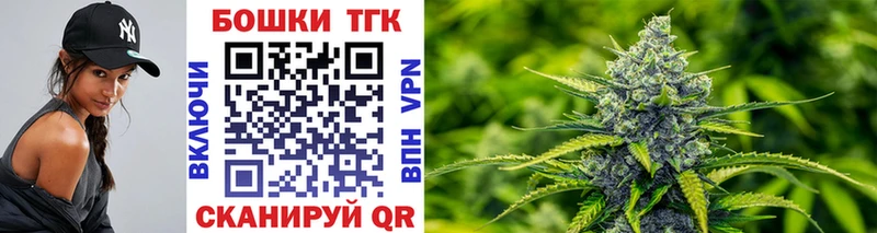 Каннабис OG Kush  Дигора 